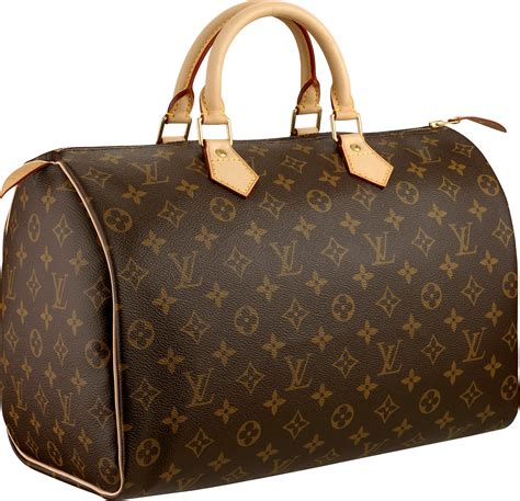 lv bag image